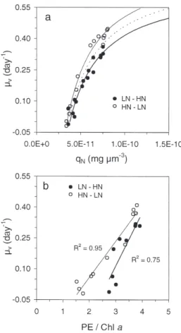 Fig. 10. Cryptomonas sp. Relationships between growth rate µ v and (a) nitrogen quota and (b) PE/chl a ratio in LN–HN and HN–LN cultures
