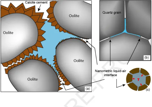 Figure 1. Dual-porosity systems. (a) in oolitic sedimentary rocks, (b) in crustal settings