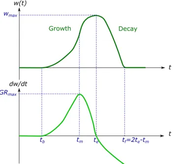 Figure 1: Evolution of the biomass w(t) (Equation 11) and of the growth rate dw/dt (Equation 10) with characteristic times
