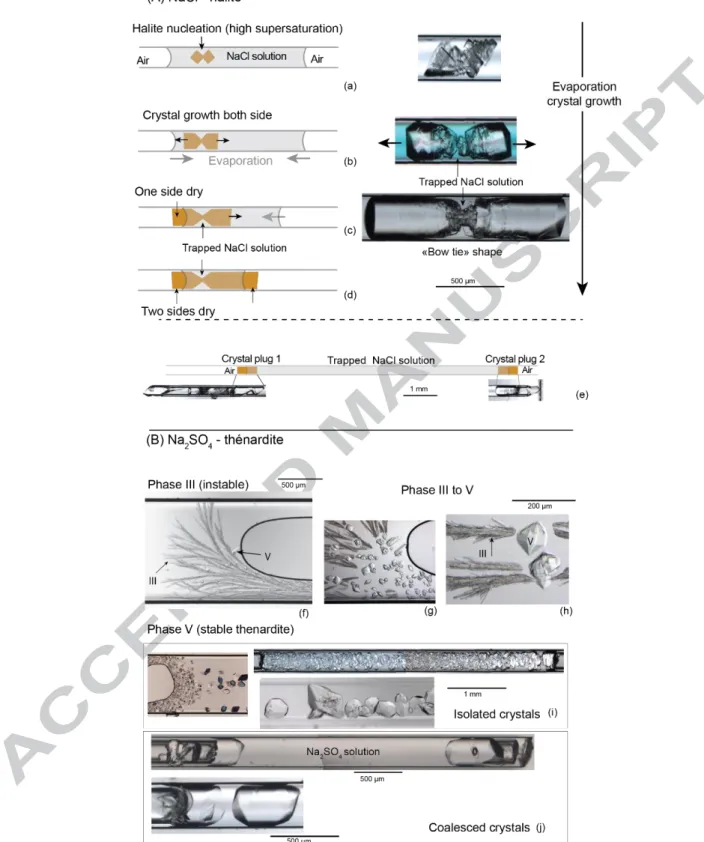 Figure 3. Crystallization sequences to build double plug systems (see text).  