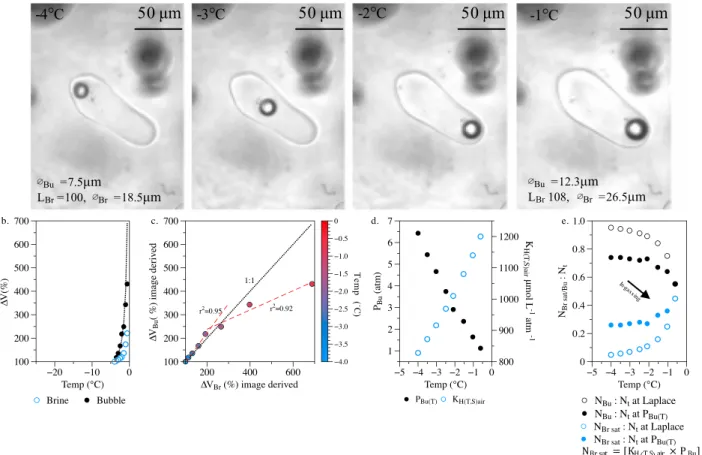 Figure 7. (a) Microphotographs of warming experiment 6 clearly showing increases in discrete brine pocket size with increasing temperature and simultaneous enlargement of a bubble contained therein