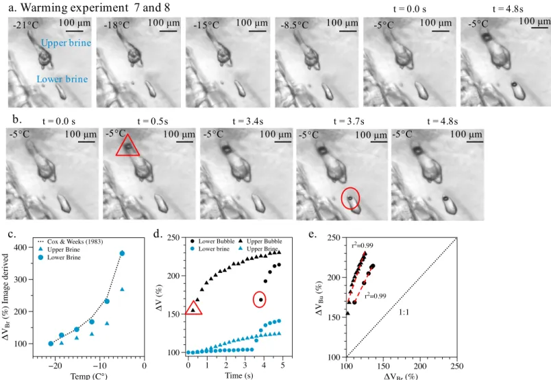 Figure 8. (a) Selected microphotographs of warming experiments 7 and 8, which show change in the size of brine pockets with increasing temperature from − 21 to − 5 °C