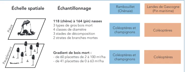 Fig. 1 : récapitulatif du matériel et des méthodes écologiques employées dans les 2 régions d’études