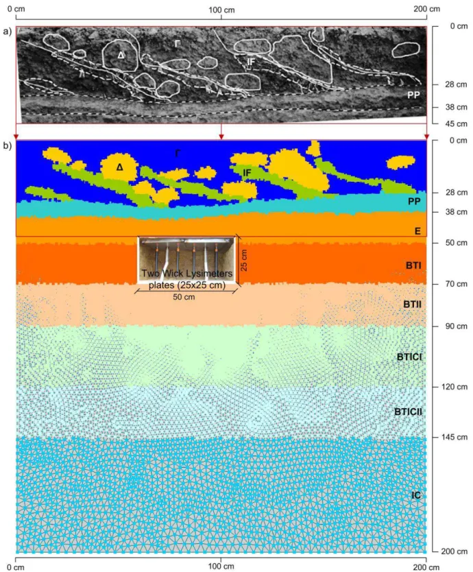 Fig.  2.  (a)  Field  soil  profile  description  including  the  different  soil  structures  observed  in  the  tilled  layer and (b) spatial distribution of the different soil structures and soil layers used in the  HYDRUS-2D  model together with the lo