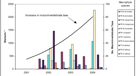 Figure 1. Increase in macroinvertebrate taxa (solid line) as macrophyte shoot/stem density  increases over time at Bridgewater Creek Wetland.