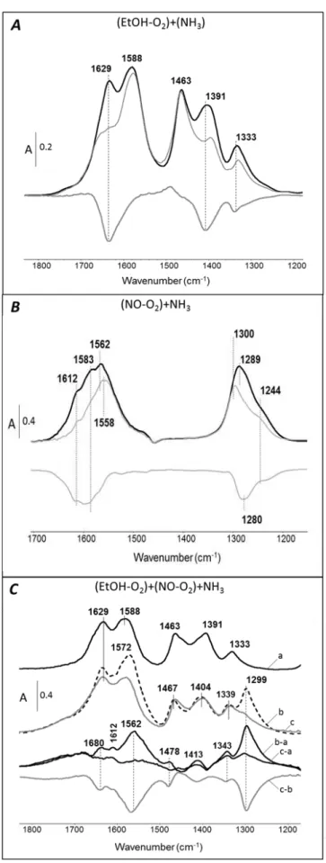 Figure 7. Transmission IR spectra of co-reactive compounds adsorption at 200°C over Ag/Al catalyst