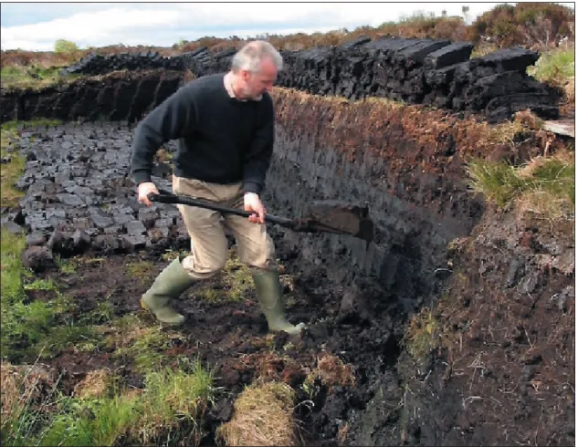 Figure 5. Traditional peat cutting in Scotland. This kind of relatively low-impact exploitation of peatlands may  increase biodiversity by recreating transitional habitats