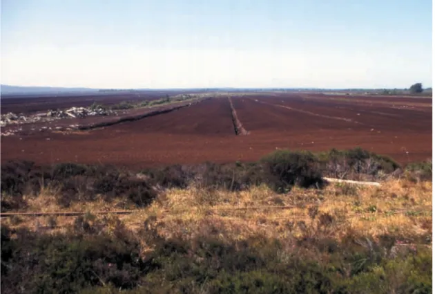 Figure 2. Example of an Irish peatland in which peat is currently being harvested on an industrial scale