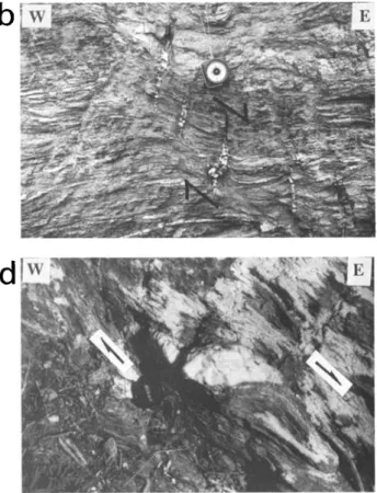 Fig. 11. Eastward  shear  criterias  in the calcschists.  (a  and b) Shear  planes  in the Lanc6ne  calcschists,  associated  with late en echelon  cracks  (Figure 1 lb); 