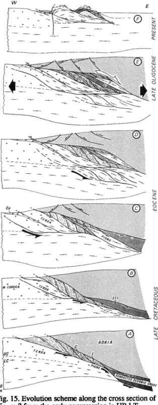 Fig. 14. E-W cross  section  of the Cap Corse  in the  Bastia area, after Warburton [ 1986]
