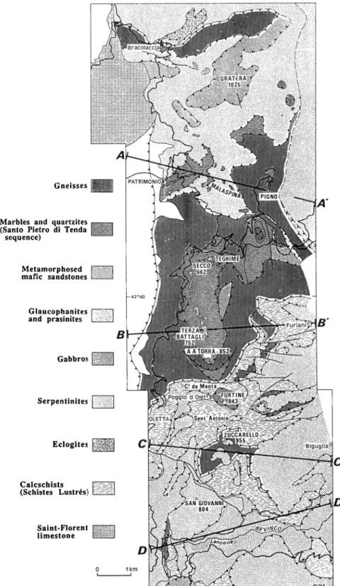 Fig. 3. Geological  map of the Bastia-Lanc6ne  area. 