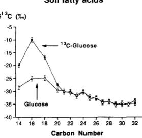 Figure 1. Isotopic composition of n-alkanoic acids from soils incubated either with glucose or 13C- 13C-glucose