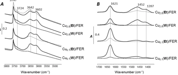 Figure 7A reports the IR spectra in OH stretching vibration region of Cu 2.8 /FER and Cu 6.1 /FER samples before sodium addition and for the highest sodium contents depending on the Na impregnation solvent