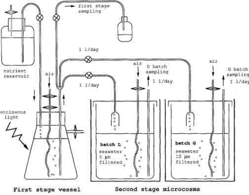 Fig.  1.  Schematic diagram of the two-stage experimental system, 