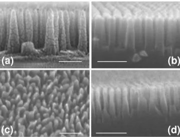 FIG. 3. Scanning electron microscopy images of nanopat- nanopat-terned silicon surfaces for C35-5’ sample (a), C35-3’ sample (b), C23-5’ sample (c) and C23-3’ sample (d)