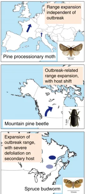 Fig. 1 Scenarios of range expansion related to climate change in three important forest pests, the pine processionary moth, T