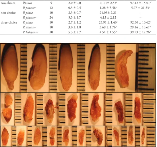 Table 3. Seed consumption in choice and non-choice trials. Average number (± SE) of consumed seeds  per box, kernel weight consumed per box and bug and percentage of the kernel that was consumed in  each of the seed preference trials