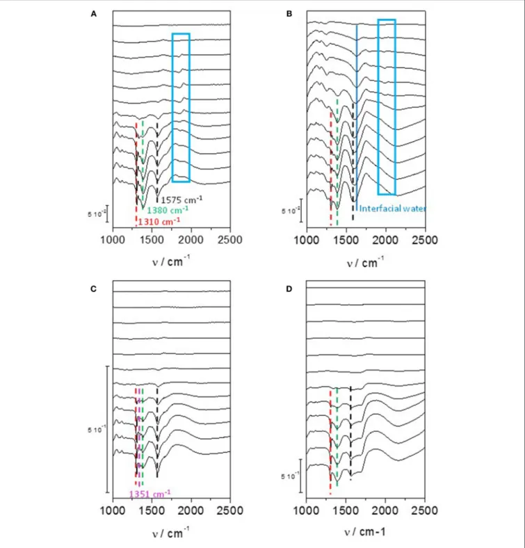 FIGURE 4 | Infrared spectra recorded in the 1,200–2,500 cm −1 range for 0.1 M glycerol oxidation in 0.1 M NaOH from 0.05 V to 1.15 V vs