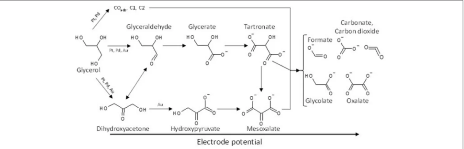 FIGURE 5 | Scheme of the reaction pathways for the electrooxidation of glycerol on platinum, palladium and gold in alkaline media.