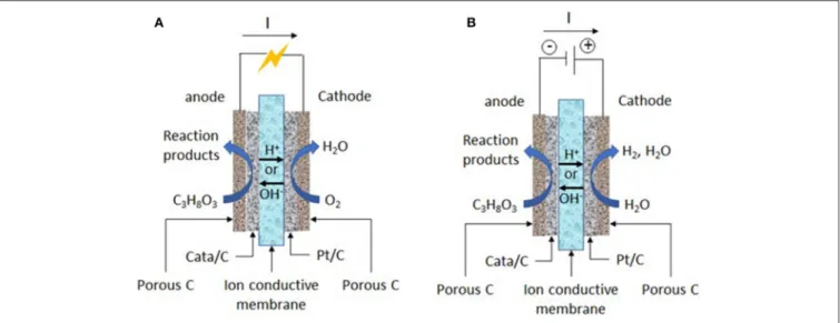 FIGURE 1 | Working principles of (A) an acidic or alkaline solid polymer glycerol fuel cell and (B) an acidic or alkaline solid polymer glycerol electrolysis cell.