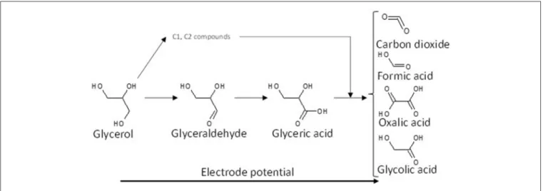 FIGURE 2 | Scheme of the reaction pathways for the electrooxidation of glycerol on platinum in acidic media.