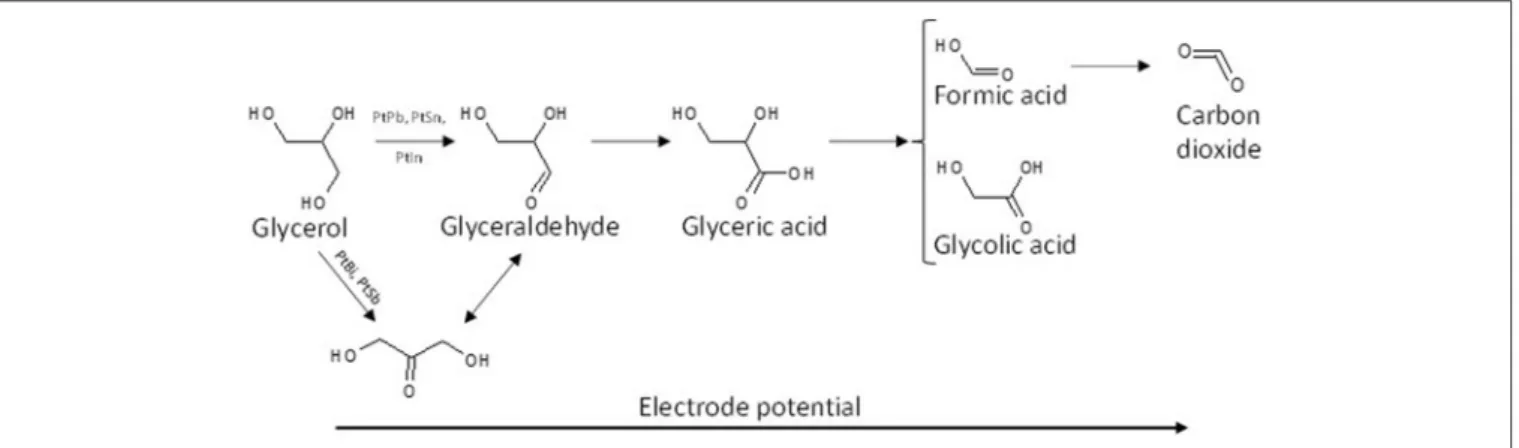 FIGURE 3 | Scheme of the reaction pathways for the electrooxidation of glycerol on platinum modified by elements from the p-group in acidic media.