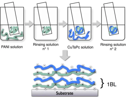 Figure 7. Scheme of the LBL process for PANI/CuTsPc films. 