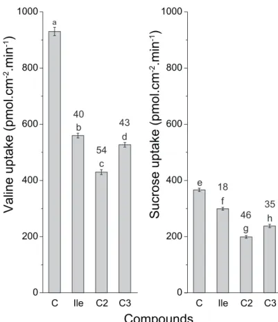 Fig. 5. Effect of isoleucine (Ile) and unsaturated amino acids (2- (2-amino-3-methyl-4-pentenoic  acid  [C2]  and  2-amino-3-methyl-  4-pentynoic acid [C3]) applied at 2.5 mM on the absorption of  1 mM valine and 1 mM sucrose by leaf discs of  Beta vulgari