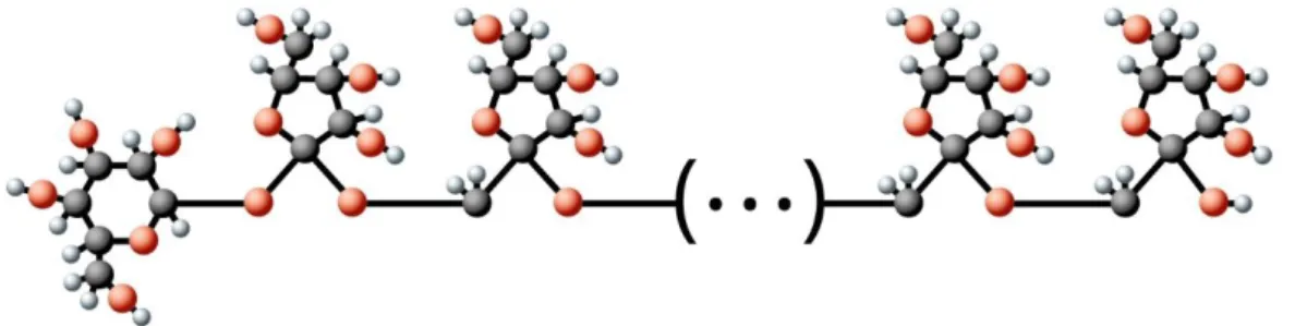 Figure 3: schematic representation of inulin polymer. 