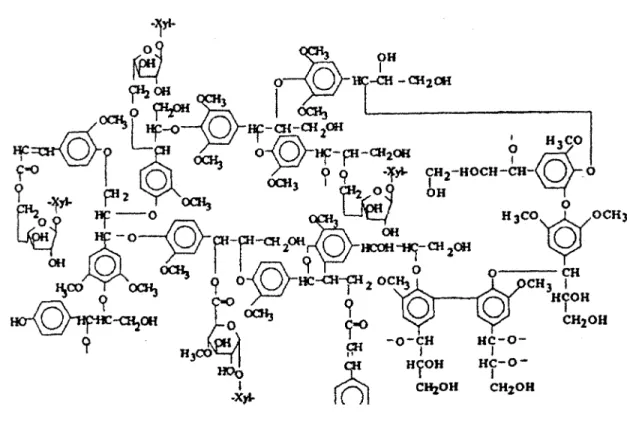 Figure 3 : Modèle de structure de lignine de monocotylédones (d'après Sun et al. 1997).