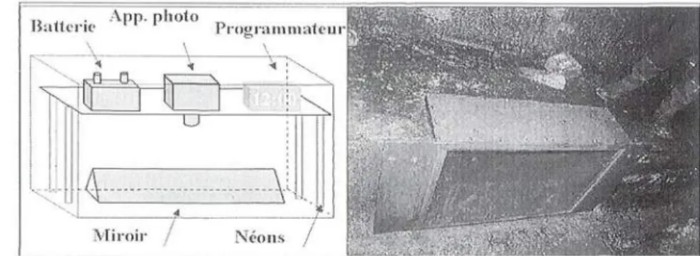 Figure 2 - Schéma de la boîte d'observation et boîte en place dans le Marais