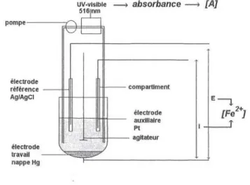 Figure 2 : Montage expérimental utilisé pour le suivi de l'oxydation de l'azocarmine B.