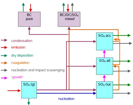 Figure 1. Schematic picture of processes included in the aerosol model (after Wilson et al., 2001).