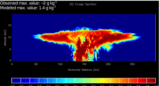 Fig. 5. (a) Modeled cloud water content (g kg −1 ) after 3 h simulation. Observed and modeled values at 10.4 km are indicated in the figure.