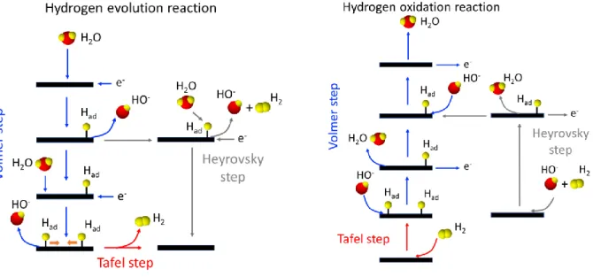 Figure 1: Illustration of HER and HOR mechanisms in alkaline medium 