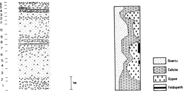 Fig. 4 :  COUPE  DE  LA HAUTE TERRASSE  DE  L'OUED  AHMADI 