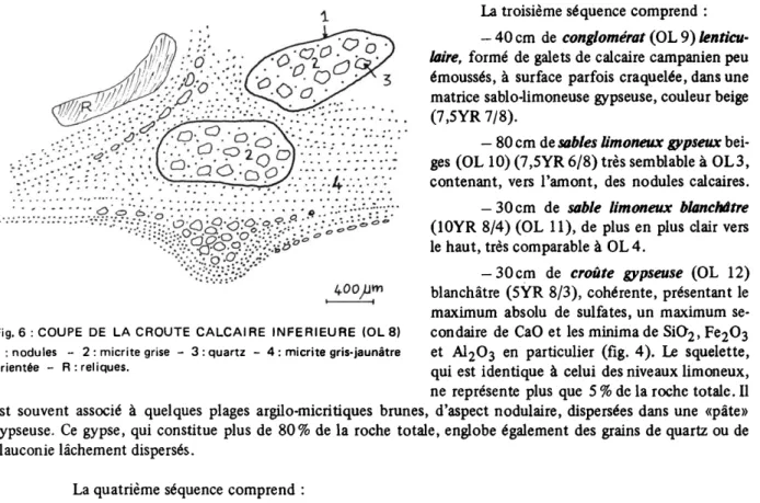 Fig. 6 :  COUPE  DE  LA CROUTE CALCAIRE  INFERIEURE  (OL 8)  1  :  nodules  -  2 :  micrite grise  -  3 :  quartz  -  4 :  micrite gris-jaunâtre  orientée  -  R: reliques
