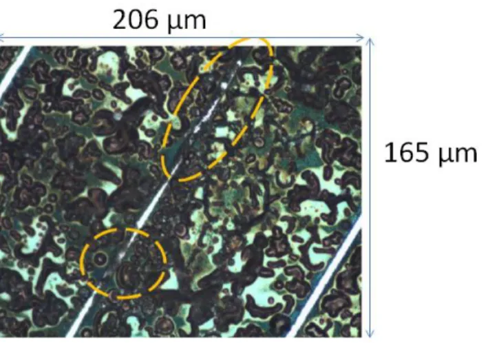 Figure  1.  Optical  microscopy  picture  of  a  polypyrrole  film  electrodeposited  on  platinum  microelectrode arrays (gap between the arrays: 5 μm)
