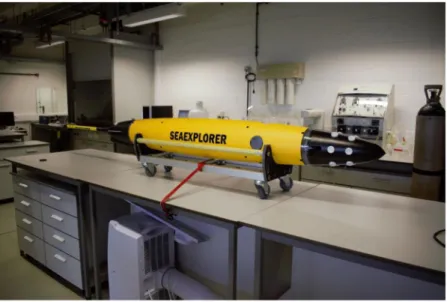 Figure 1.  View of the modified SeaExplorer glider.