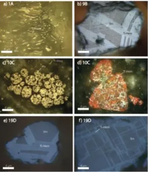 Fig. 7. Microscope image of oxide minerals of selected representative ceramics, all of  irregular shape