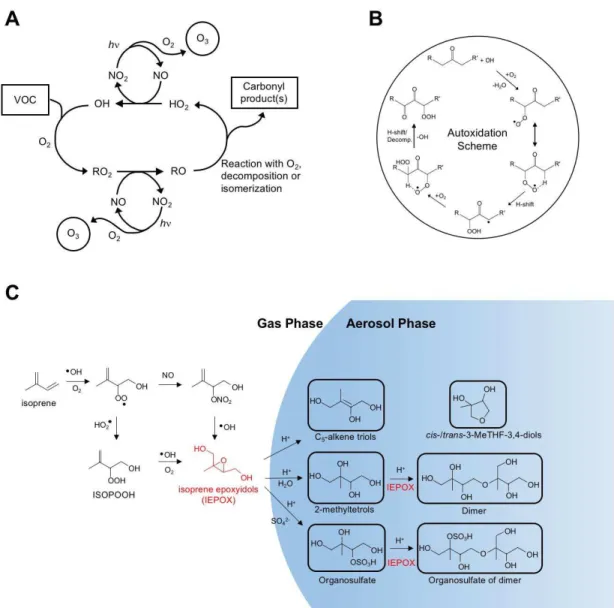 Figure  3:    Examples  of  volatile  organic  compound  (VOC)  oxidation  mechanisms
