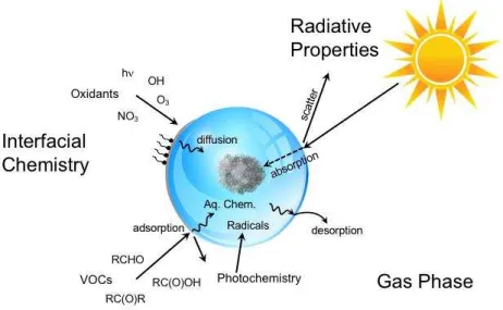 Figure  5:    Representation  of  multiphase  processes  and  radiative  properties  for  a  particle  or 567 