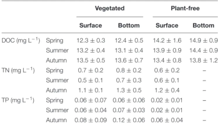 TABLE 2 | Dissolved organic carbon (DOC), total nitrogen (TN), and total phosphorus (TP) measured along different seasons in vegetated stands and plant-free areas at the surface and at the bottom of the water column (mean ± SD).