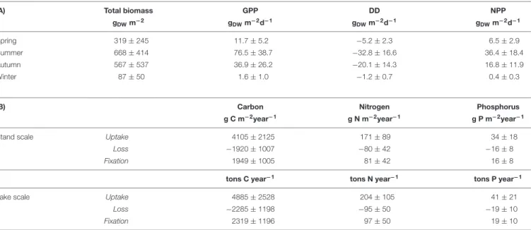 TABLE 3 | (A) Total biomass (measured), gross primary production, decomposition, and net primary production (estimated) for vegetated stands of E