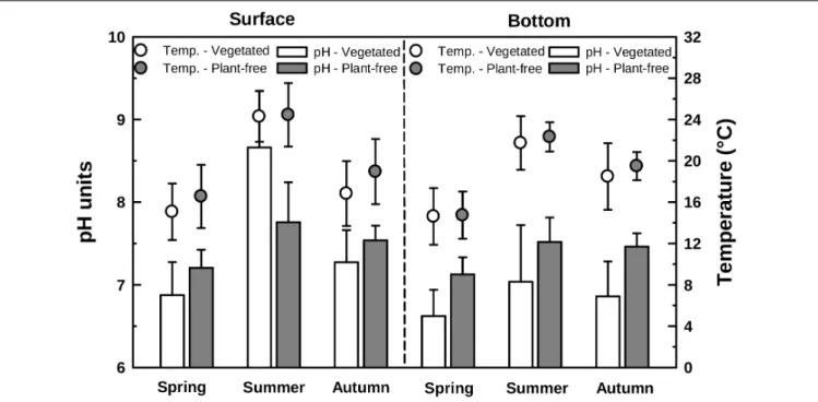 FIGURE 2 | Water pH (bars, left scale) and temperature (points, right scale) variations measured along different seasons in vegetated stands and plant-free areas at the surface and at the bottom of the water column