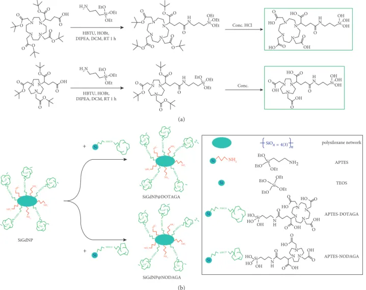 Figure 1: (a) The reaction scheme of the synthesis of APTES-DOTAGA (upper) and APTES-NODAGA (lower); (b) the reaction scheme of the functionalization of APTES-DOTAGA and APTES-NODAG on SiGdNP.
