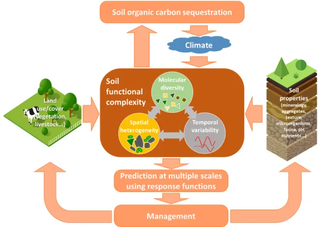 Figure 3 Integration of molecular, spatial and temporal complexity with management and  445 