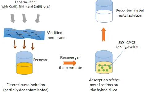 Figure 1. Schematic diagram of the filtration–adsorption treatment process. 