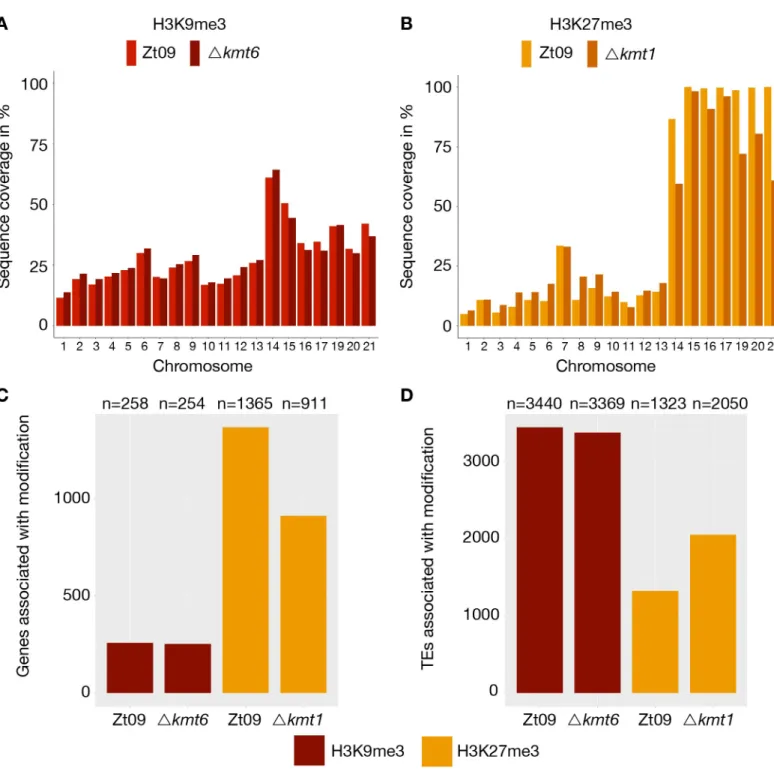 Fig 2. Genome-wide distribution of H3K9me3 and H3K27me3 in Zt09 and mutants. (A) and (B) display the percentage of sequence coverage of core and accessory chromosomes with H3K9me3 and H3K27me3 relative to the chromosome length