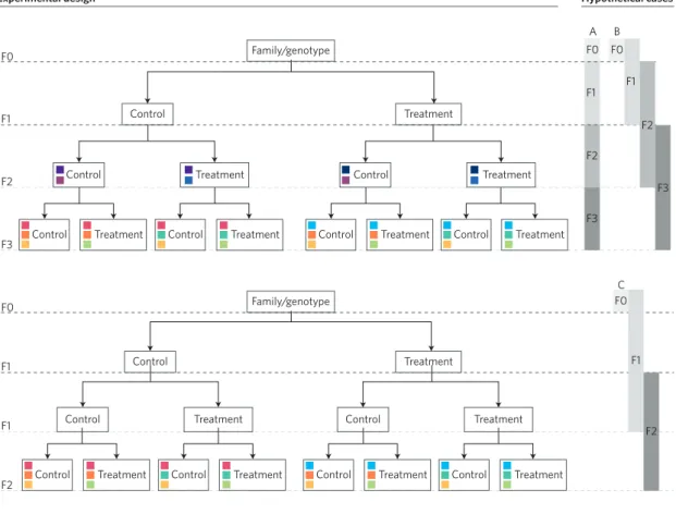 Figure 1 | Identifying TGP in offspring depending on generational overlap in exposure
